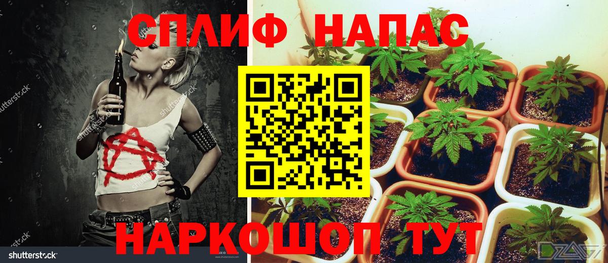 Шишки марихуана AK-47 Новоалтайск